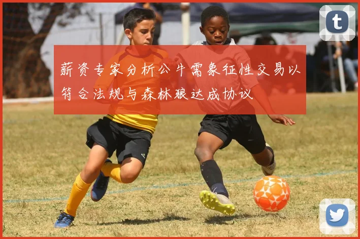 薪资专家分析公牛需象征性交易以符合法规与森林狼达成协议